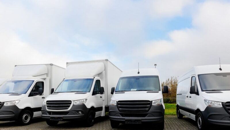 Untitled design - 2026-04-08T123147.858